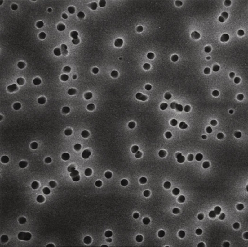 CY34.1: Filtros de membrana Isopore™ Policarbonato, 0,40 µm, Ø: 47 mm, negro (100 ud) - Quimivitalab