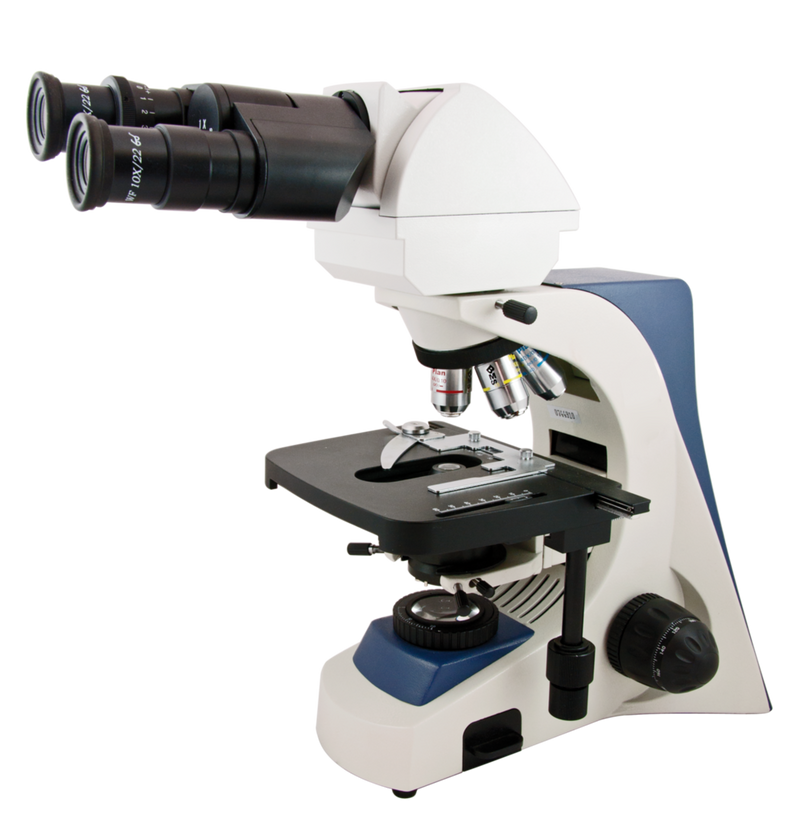 74405 Microscopio BMS C2-220 bino con cabezal Ergo y luz LED- Quimivitalab