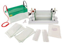 1395.1 Unidad de electroforesis Rotiphorese PROclamp MINI Wide - Quimivitalab