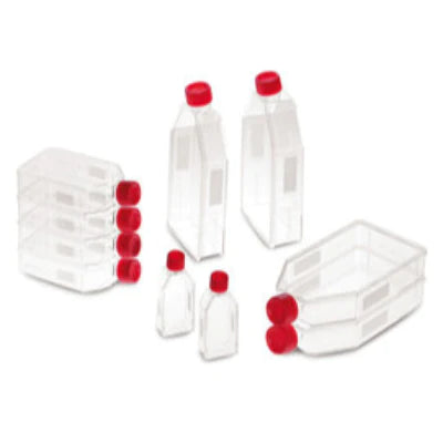 CNC3.1: Frascos de cultivo celular 650 ml PS estéril. 40 pc(s) - Quimivitalab