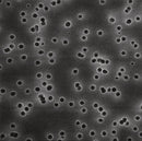 CY34.1: Filtros de membrana Isopore™ Policarbonato, 0,40 µm, Ø: 47 mm, negro (100 ud) - Quimivitalab