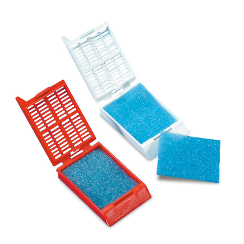 TT56.1 esponjas para casetes de inclusión, azules (500 uds) - Quimivitalab